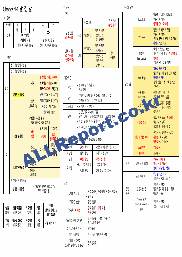 뉴만(해부학,운동학) 정리본(카셉시험) (10 페이지)